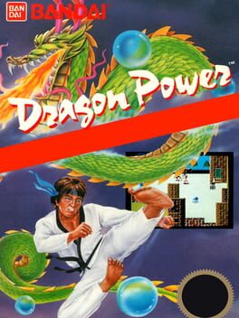 Dragon Power - NES (Used)